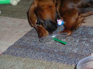 And I'm cute when I chew on coffee cup straws.